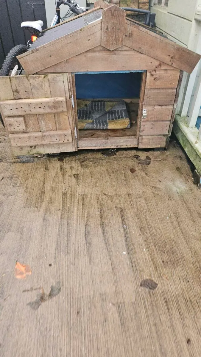 Dog kennel 3x3 - Image 2