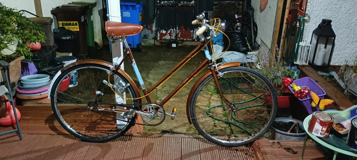Raleigh Sport - Image 1