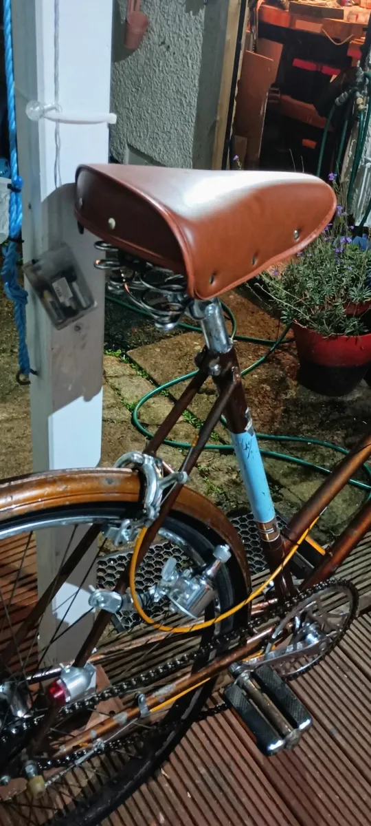 Raleigh Sport - Image 4