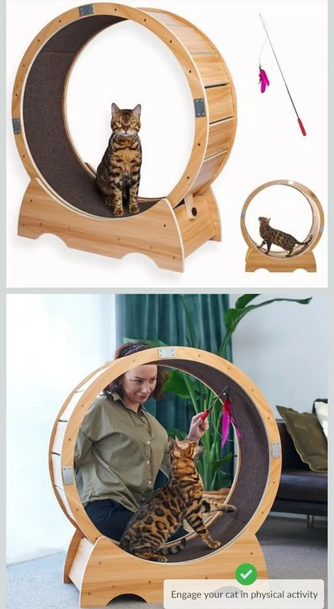Cat exercise wheel - Image 1