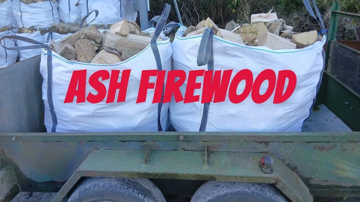 Firewood - Image 1