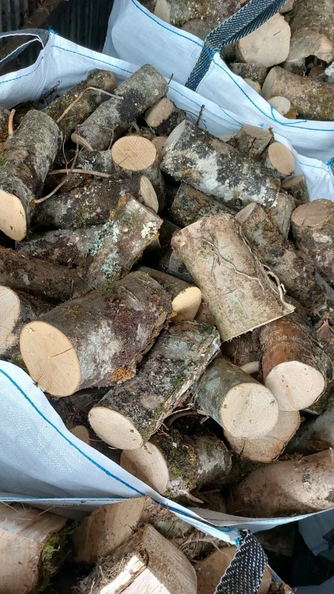 Firewood - Image 4