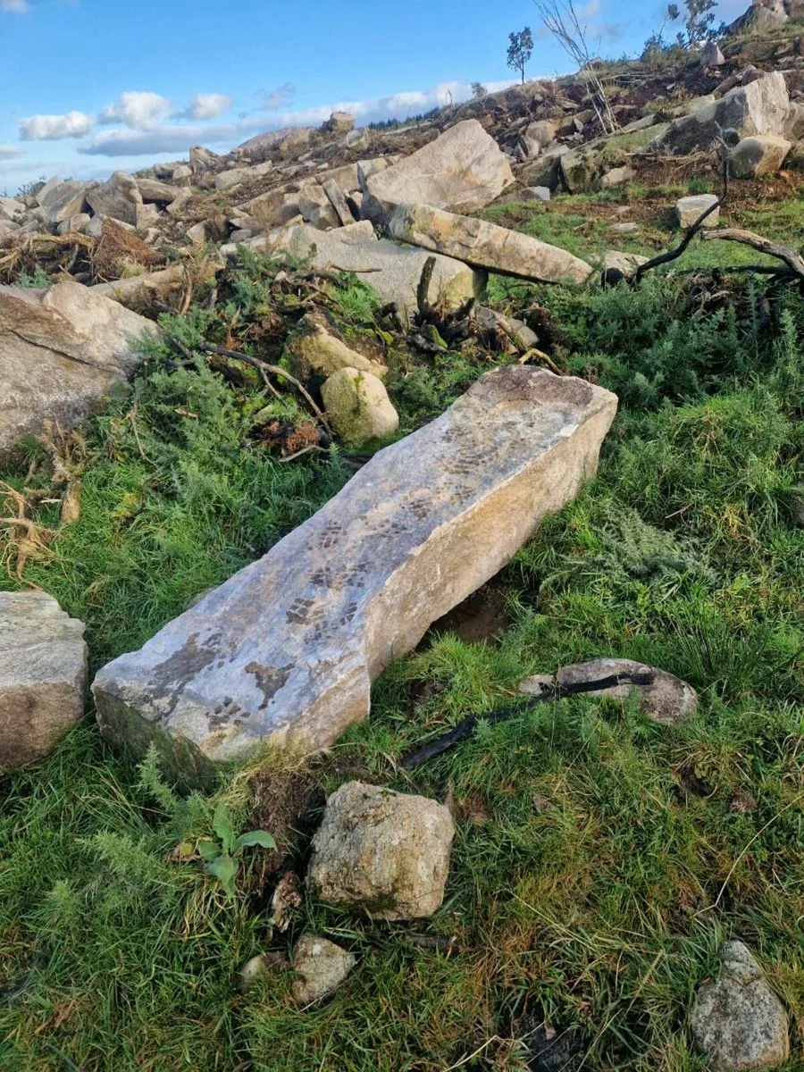 Stone gate posts - Image 2