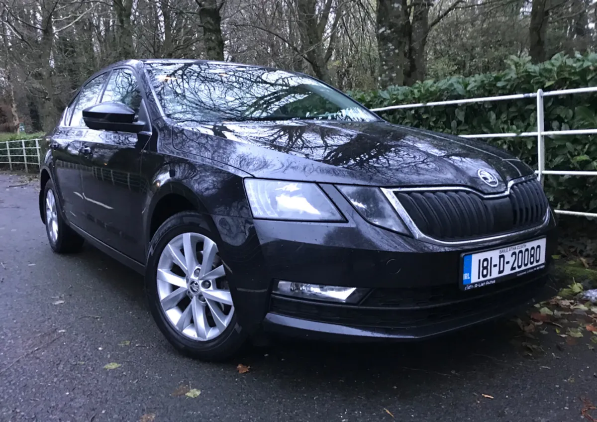 Skoda Octavia Hi Spec Style Edition 1.6TDI 115HP - Image 2