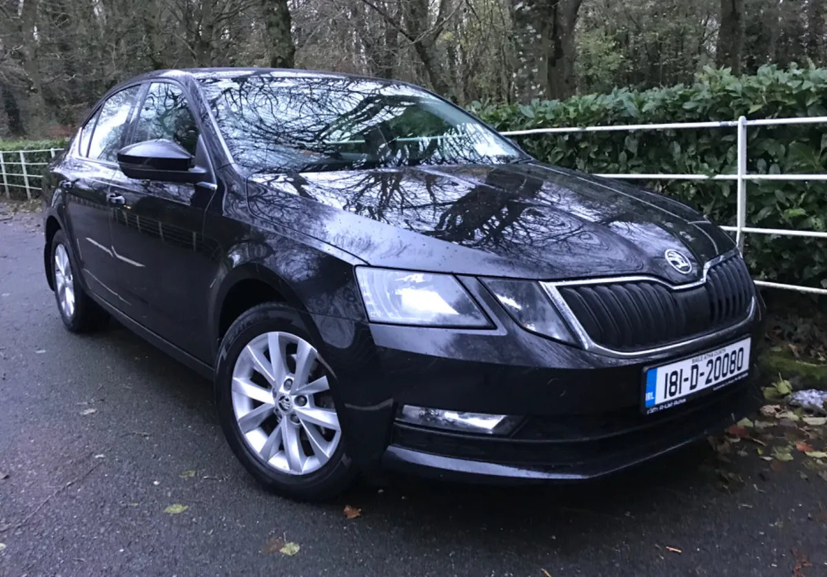 Skoda Octavia Hi Spec Style Edition 1.6TDI 115HP - Image 3