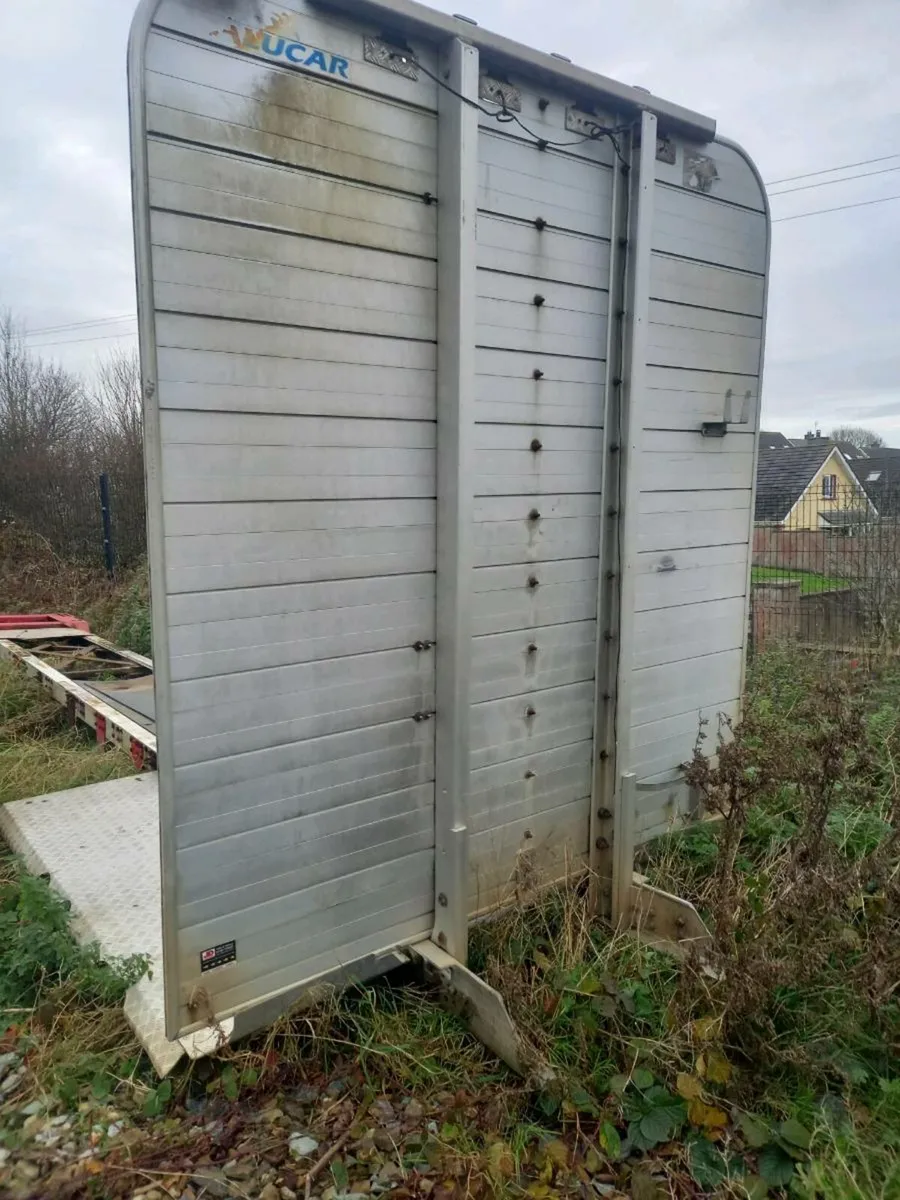 ALUCAR TIMBER BODY - Image 2