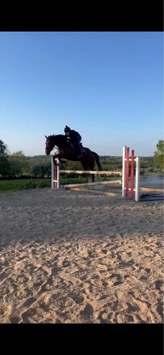 16.1 4 year old - Image 1