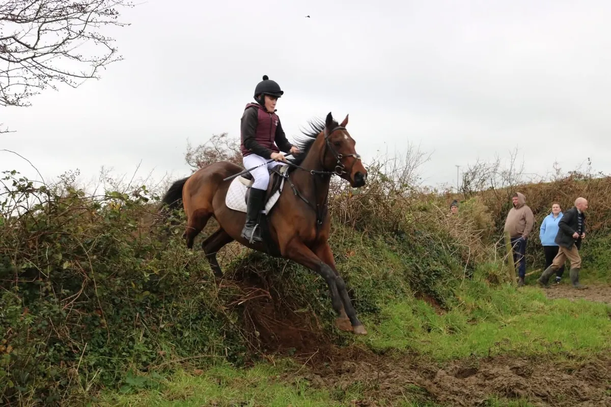 16.1 4 year old - Image 2