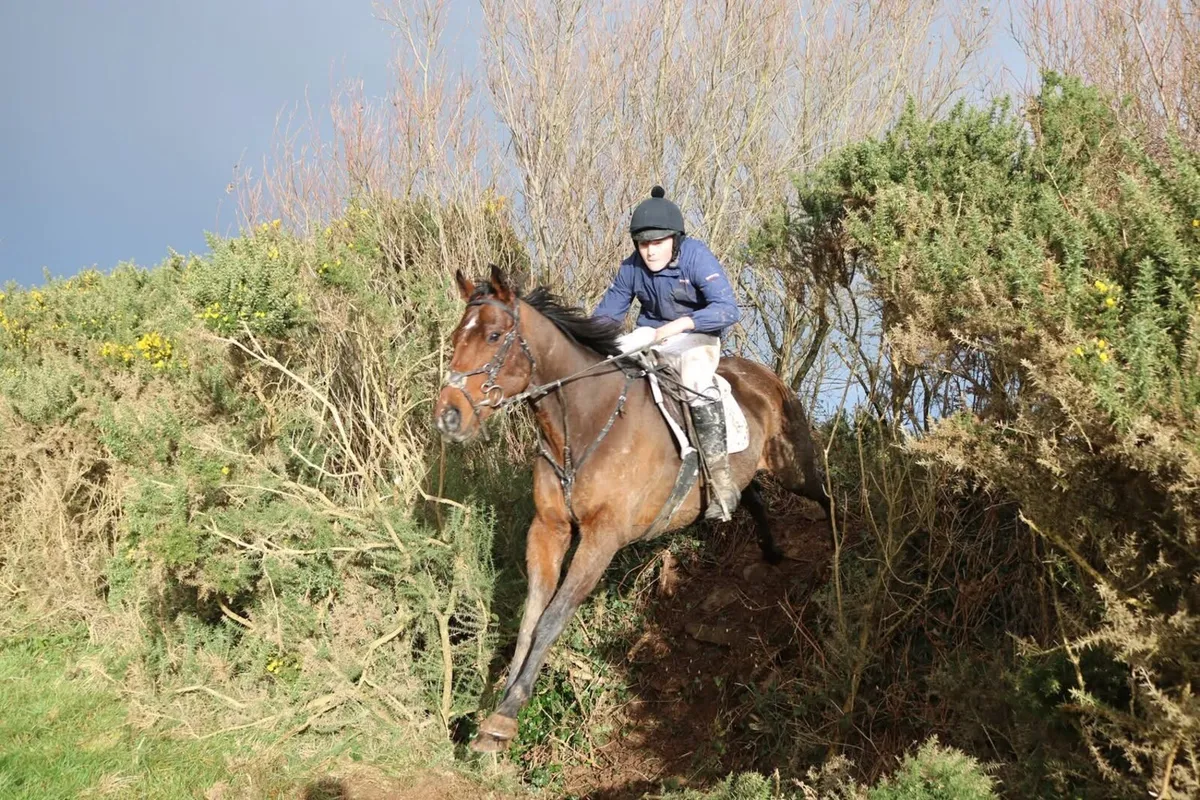 16.1 4 year old - Image 3