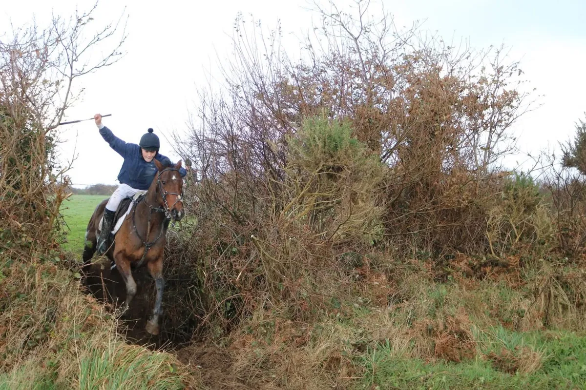 16.1 4 year old - Image 4