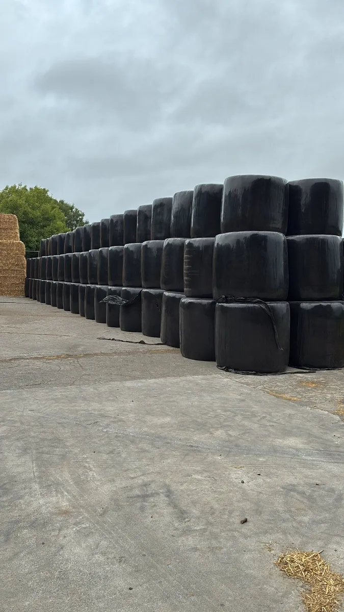 Haylage, Silage