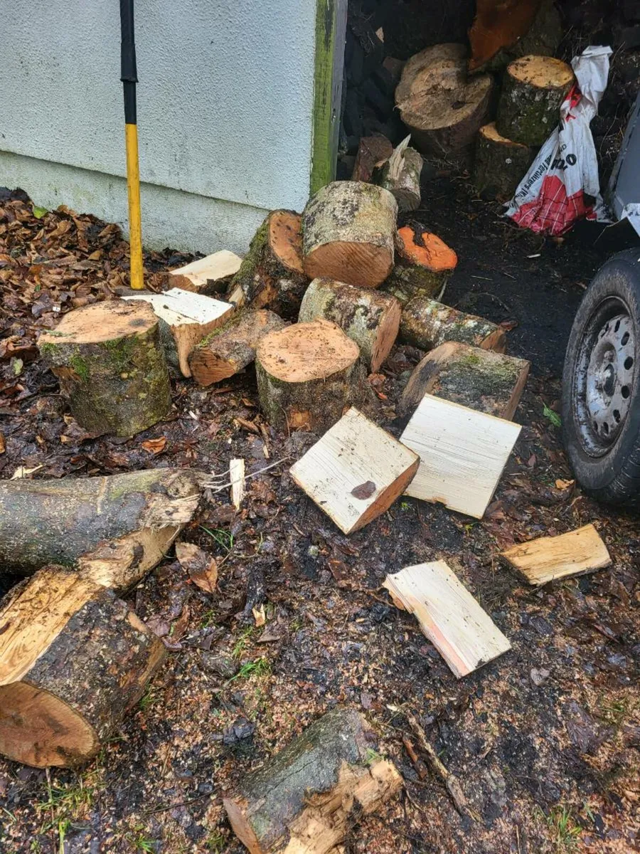 Firewood / timber - Image 2