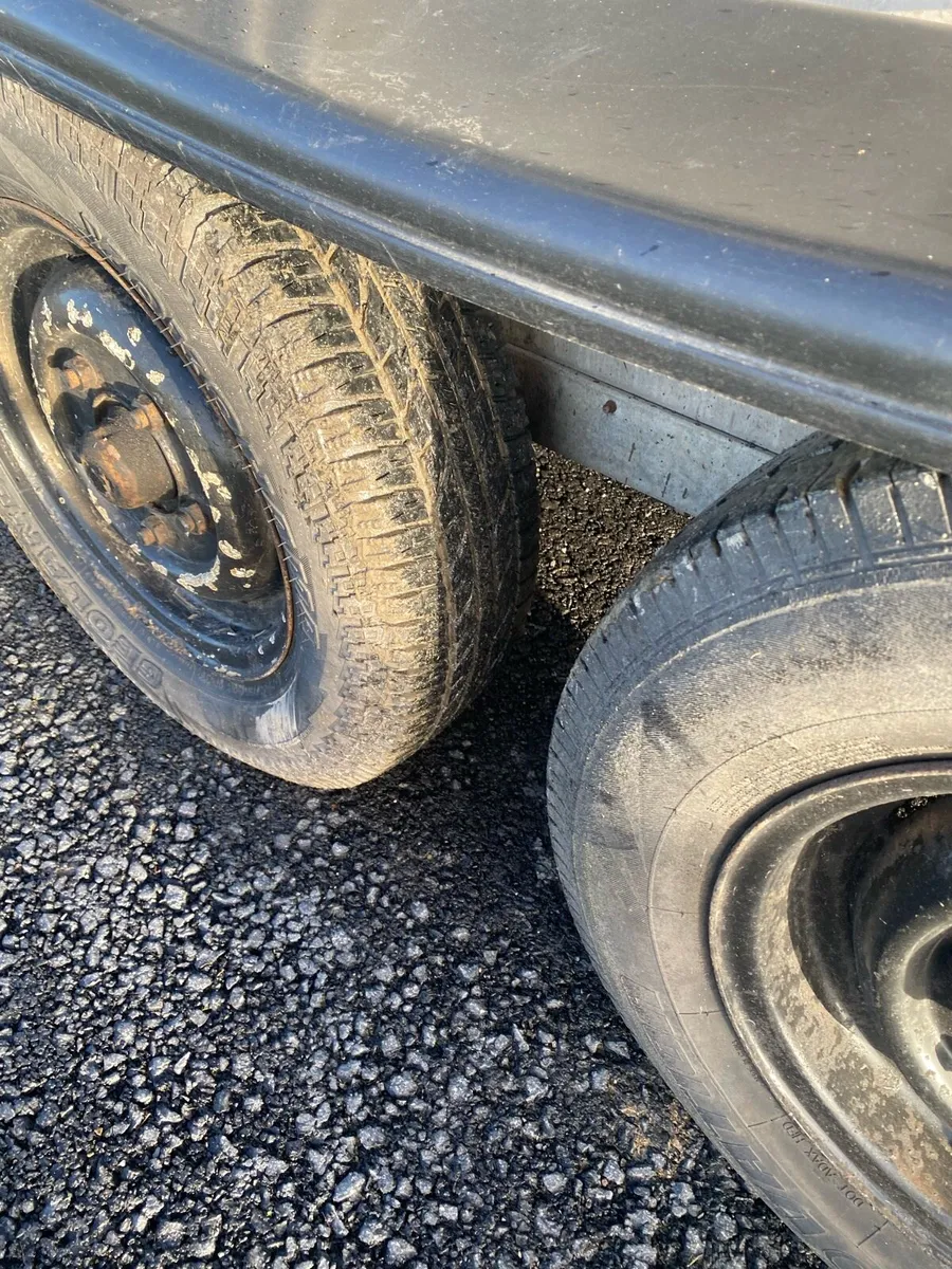 Cattle box - Image 3