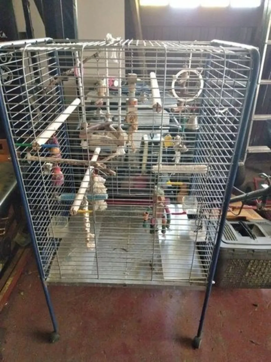 Cage - Image 1