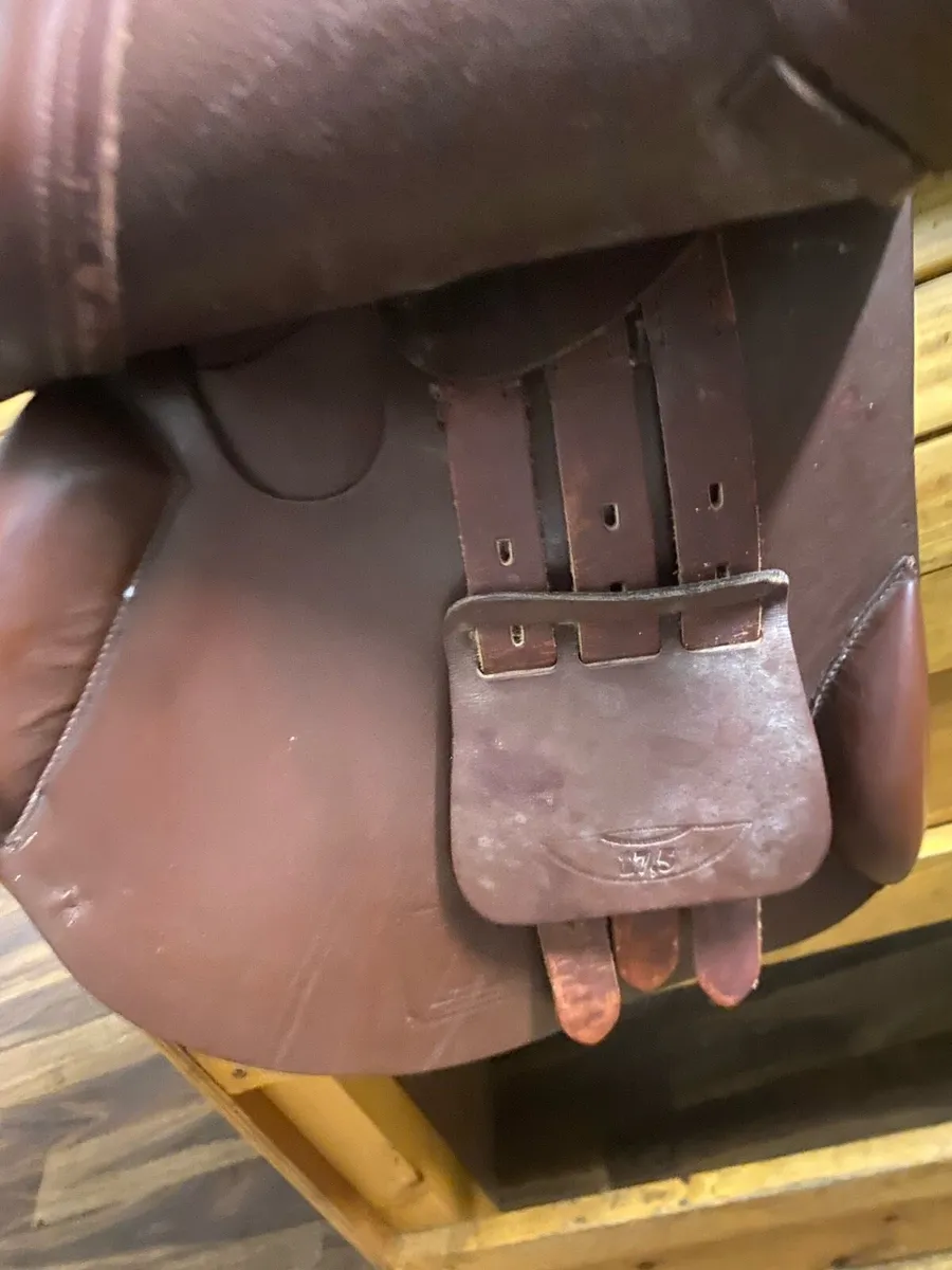 Leather saddle  fusion 17.5 medium wide jump - Image 4