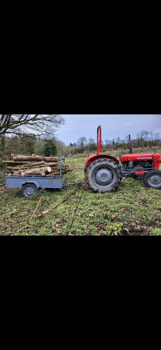 Firewood / timber - Image 4