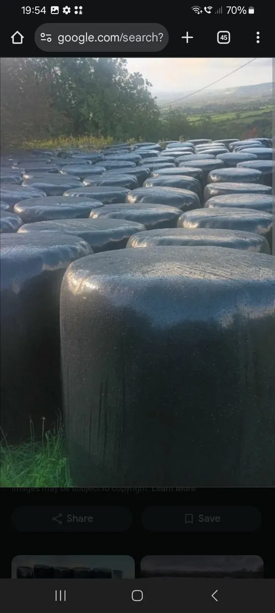 Silage bales