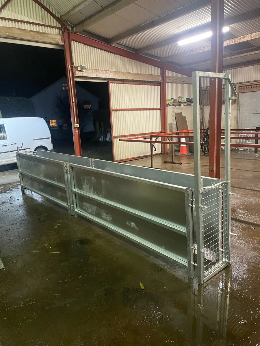 16ft sheep race - Image 2