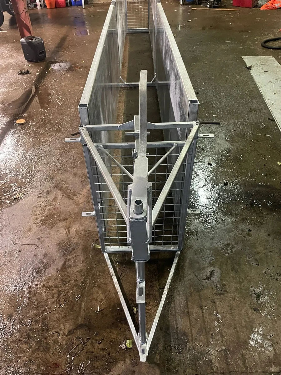 16ft sheep race - Image 3