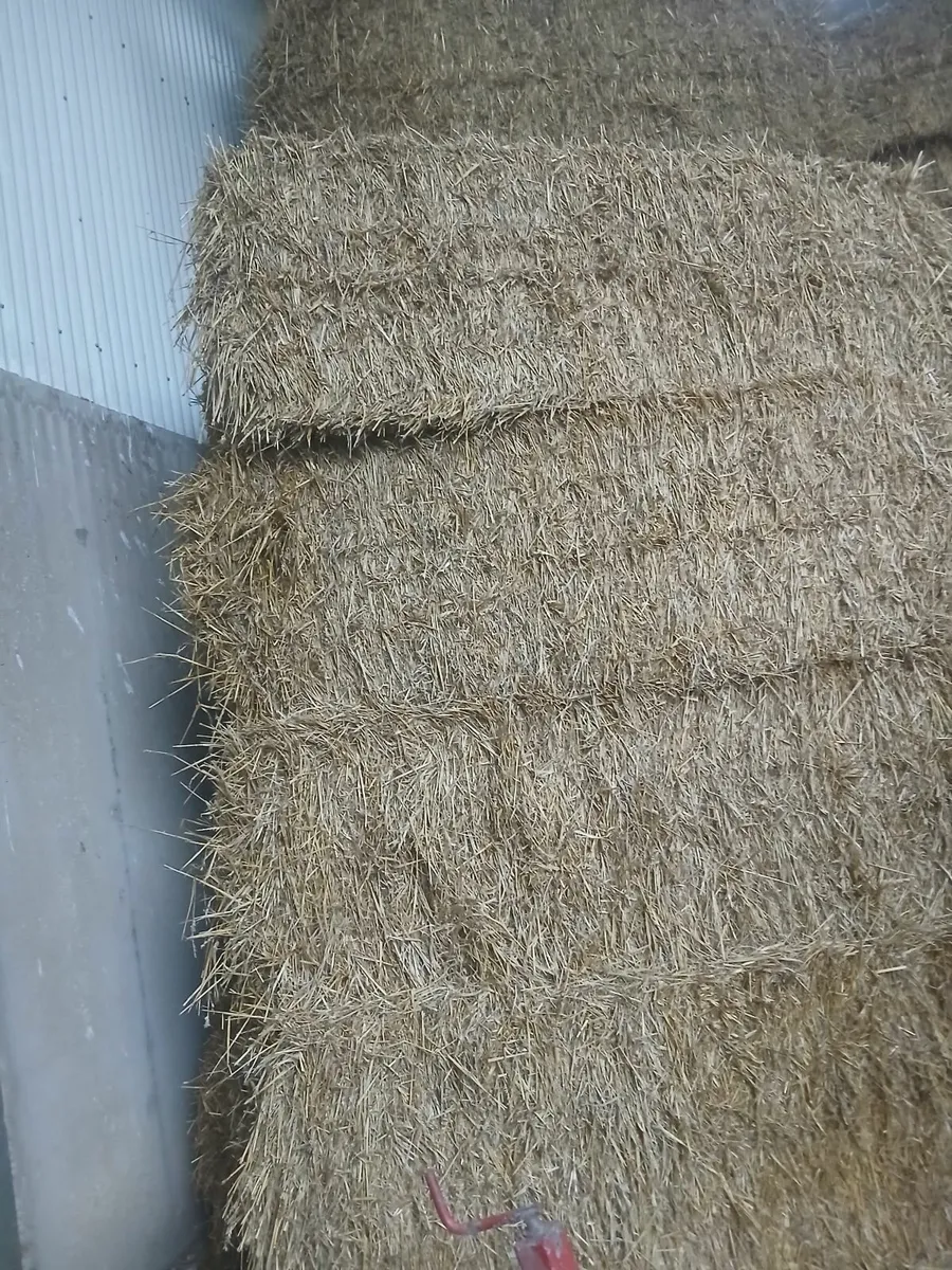 Wheateh straw - Image 1