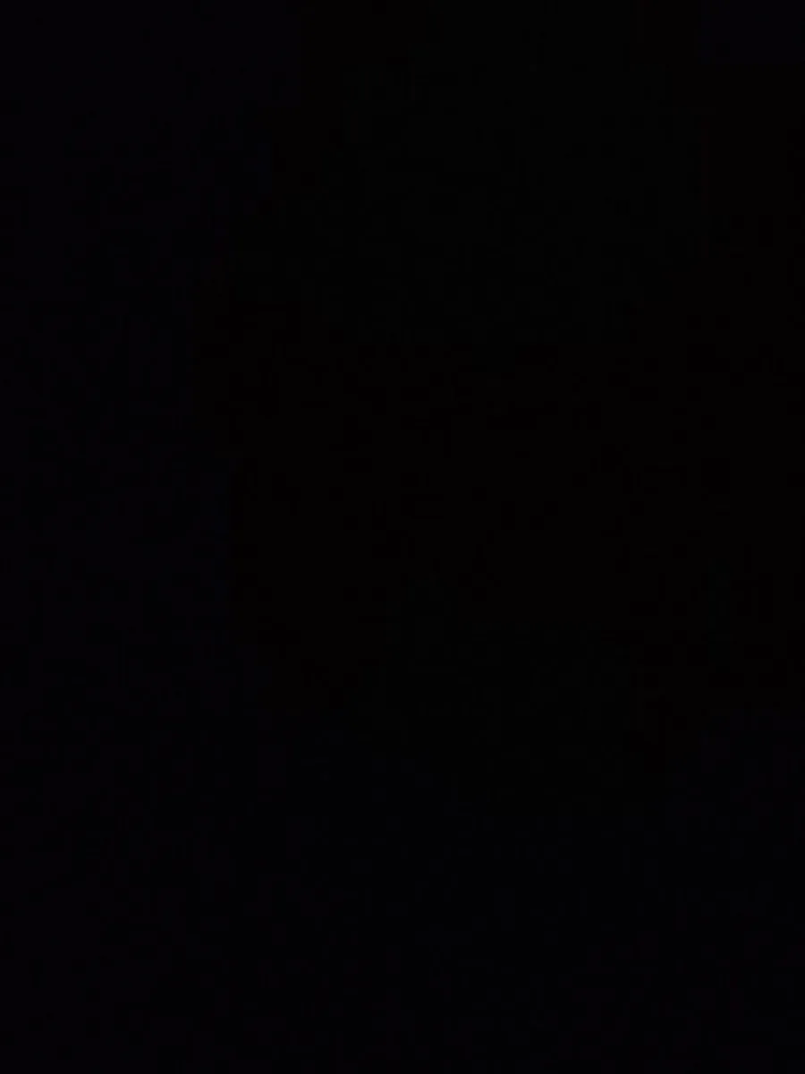 Cot / Day bed & Mattress - Image 1