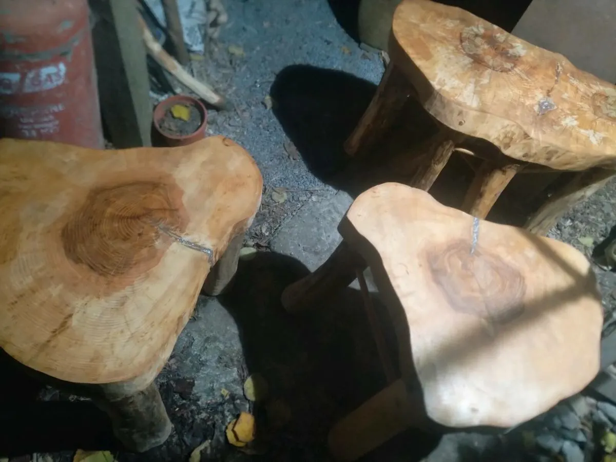 Furniture from Storm felled trees - Image 1
