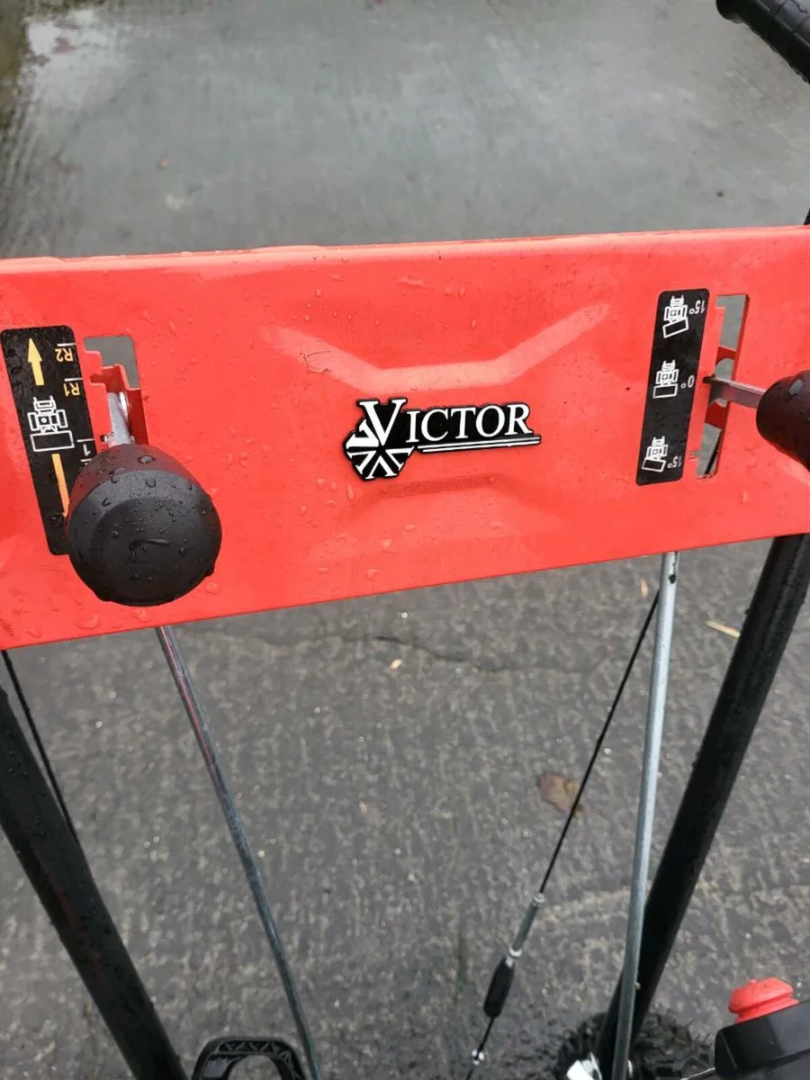 Yard sweeper - Image 4