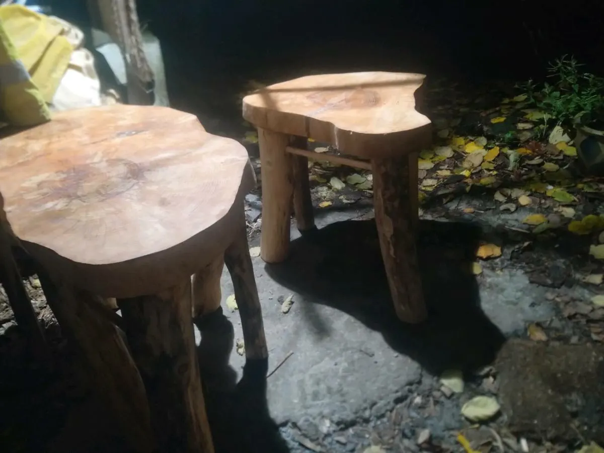 Furniture from Storm felled trees - Image 4