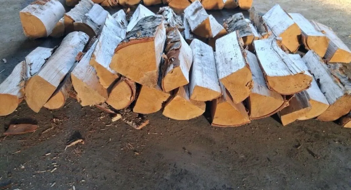 Kiln Dry Ash, Value Log Bags, North Dublin - Image 4