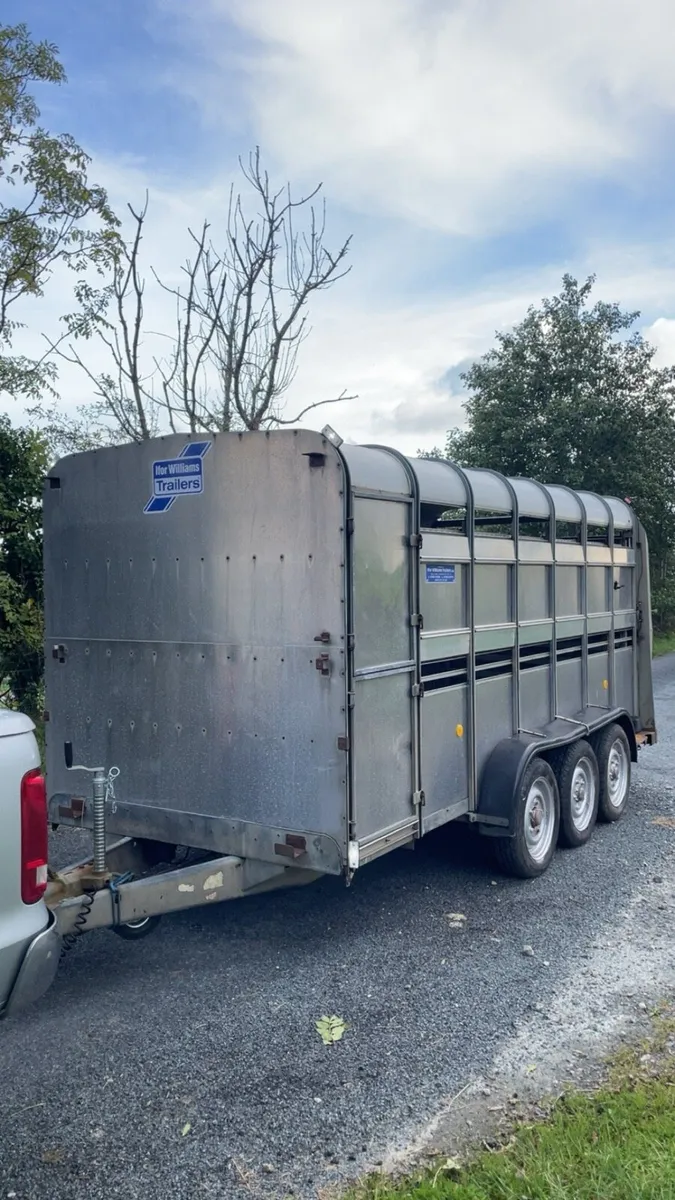 Ifor williams sheep trailer - Image 1