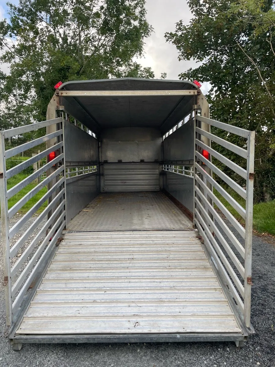 Ifor williams sheep trailer - Image 3