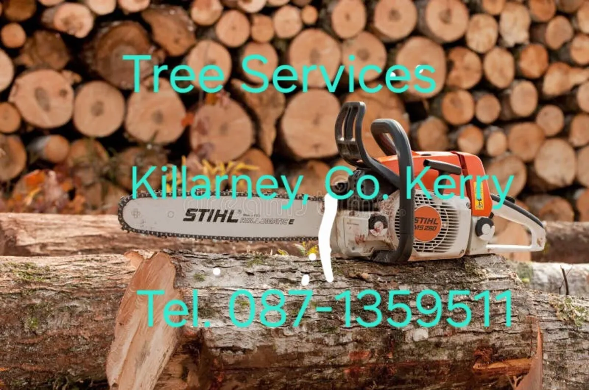 Affordable Tree Services