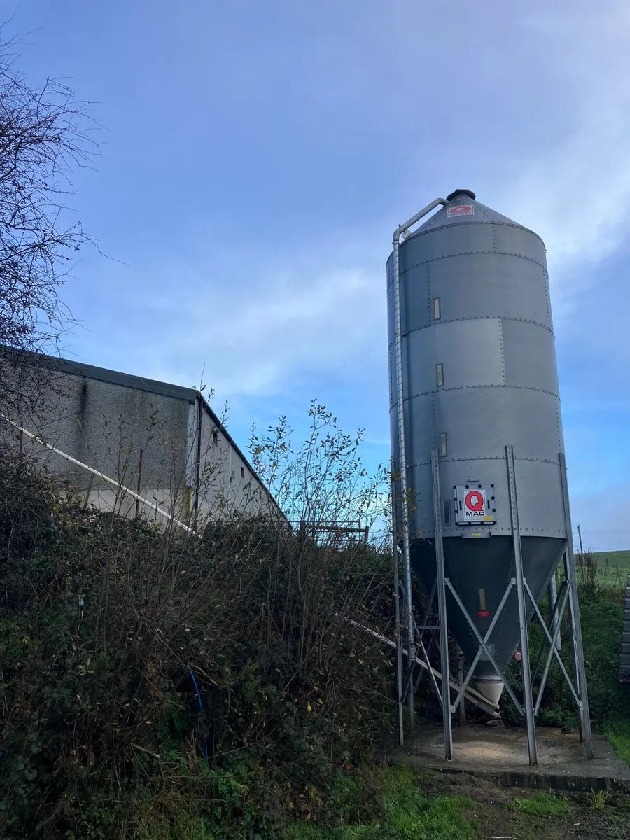 32 Ton meal bin - Image 1