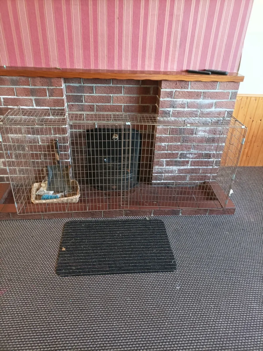 Fireguards - Image 3