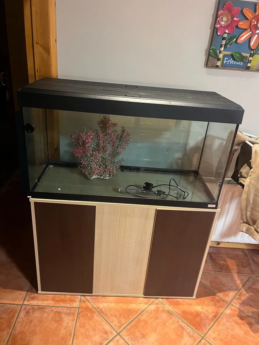 Fluval 240 litre fish tank - Image 2