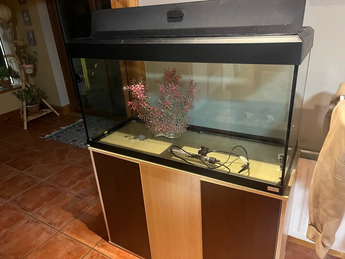 Fluval 240 litre fish tank - Image 3