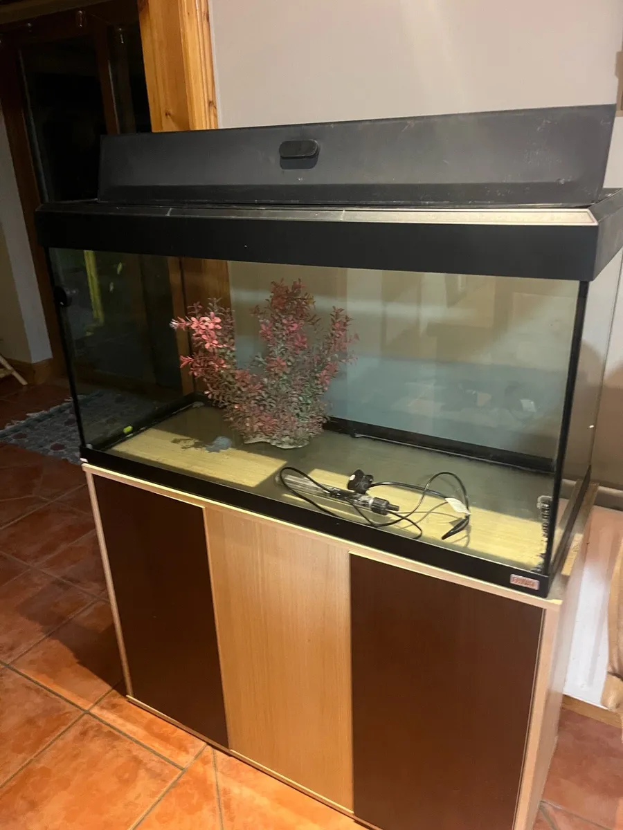 Fluval 240 litre fish tank - Image 4