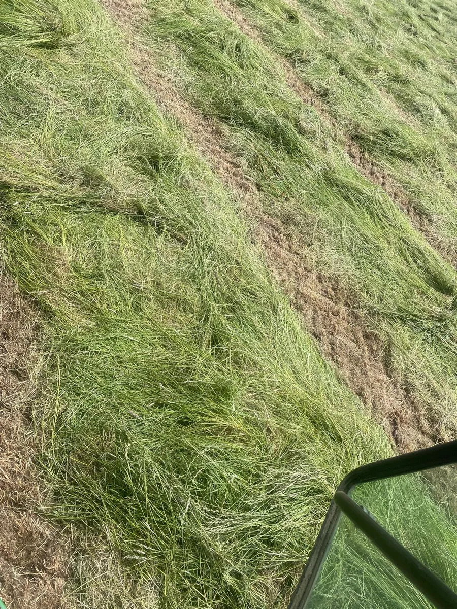 Hay June 2025 - Image 2