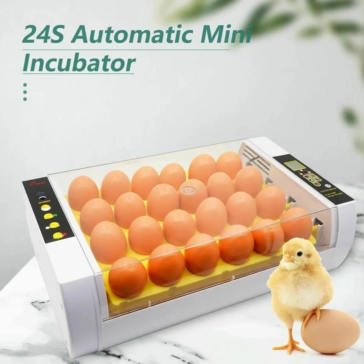 24-Egg Automatic Incubator Digital Temp - Image 2