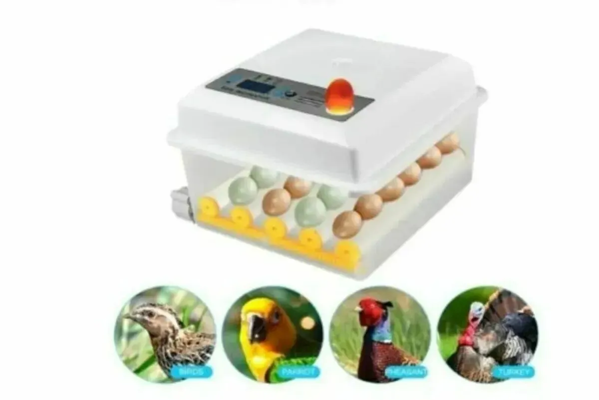 16 Egg Auto Incubator with Digital Temp Control - Image 1