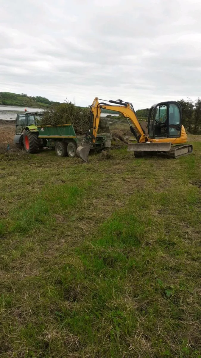 6/7 ton digger wanted - Image 1