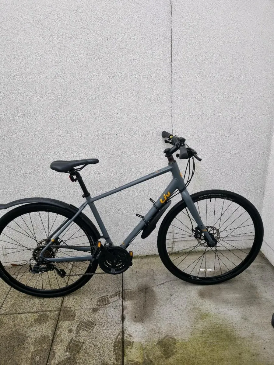 Bicycle LIV - Image 1