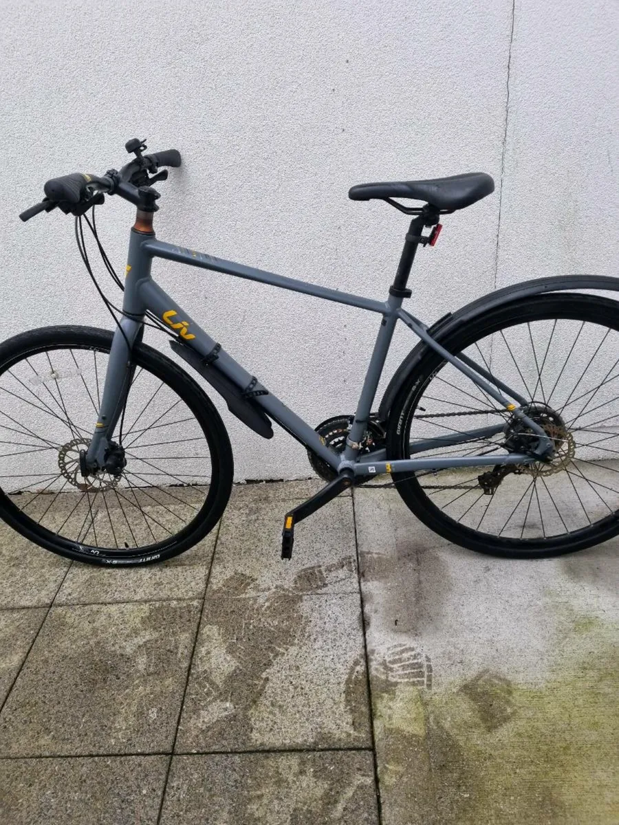 Bicycle LIV - Image 4