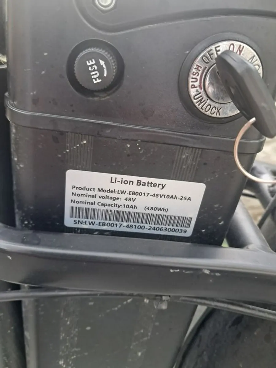 Electric Bicycle - Image 2