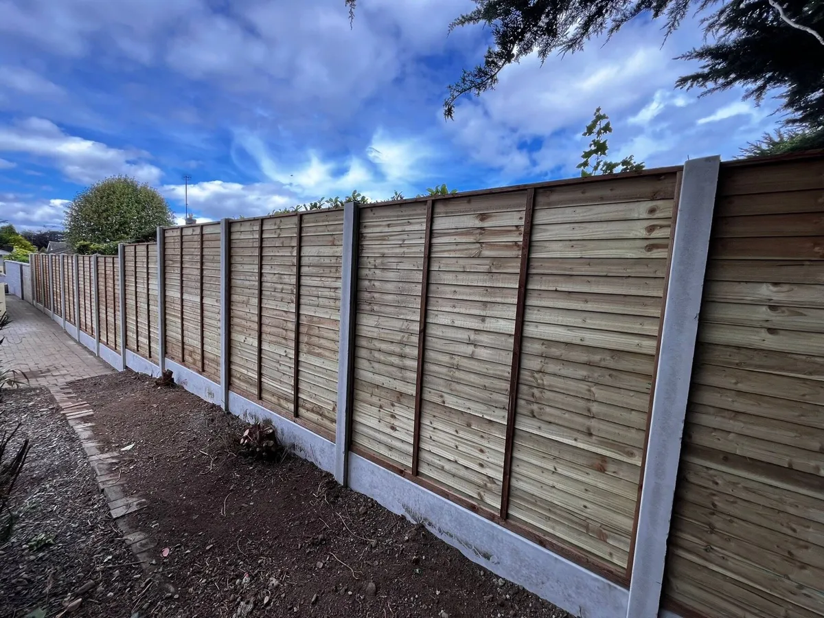 Concrete fence posts, fence panels! - Image 1