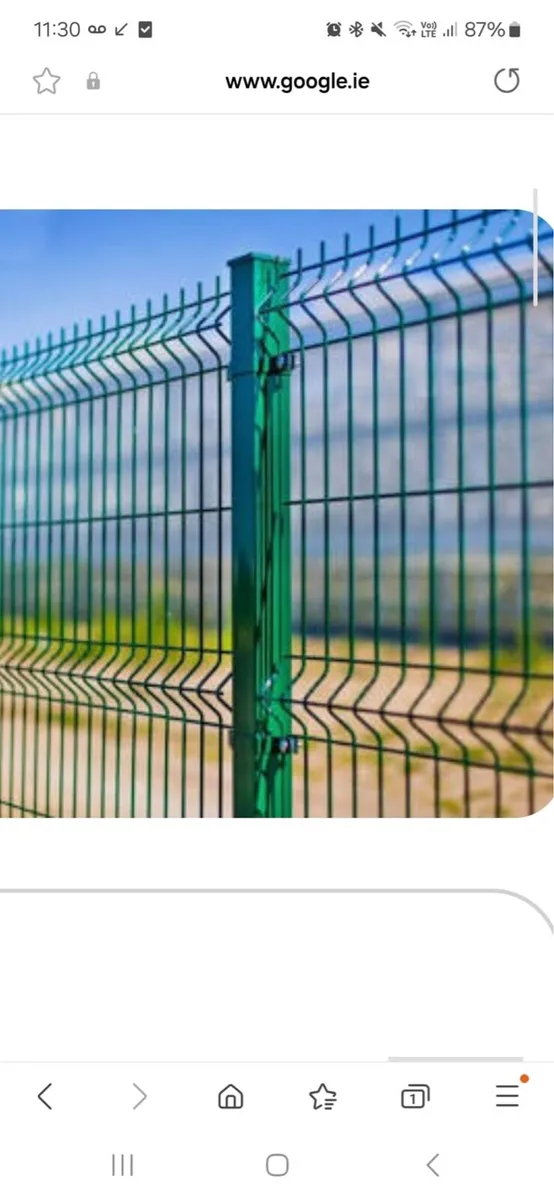Vmesh fence panels. Posts, Gate - Image 3