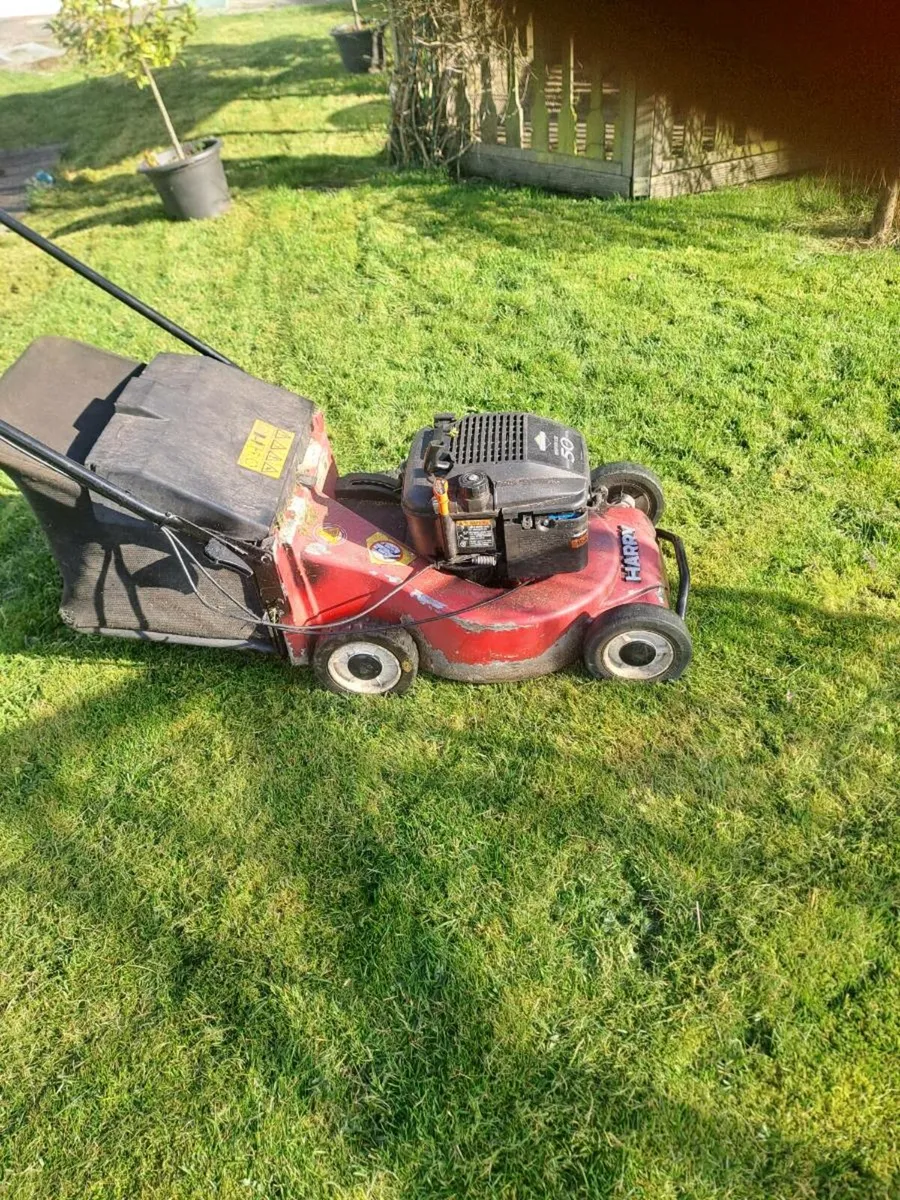 Harry   lawnmower  self-drive