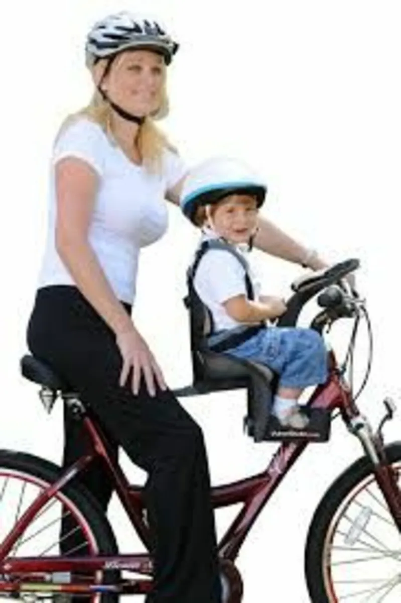 WeeRide Bike Child Carrier - Image 1