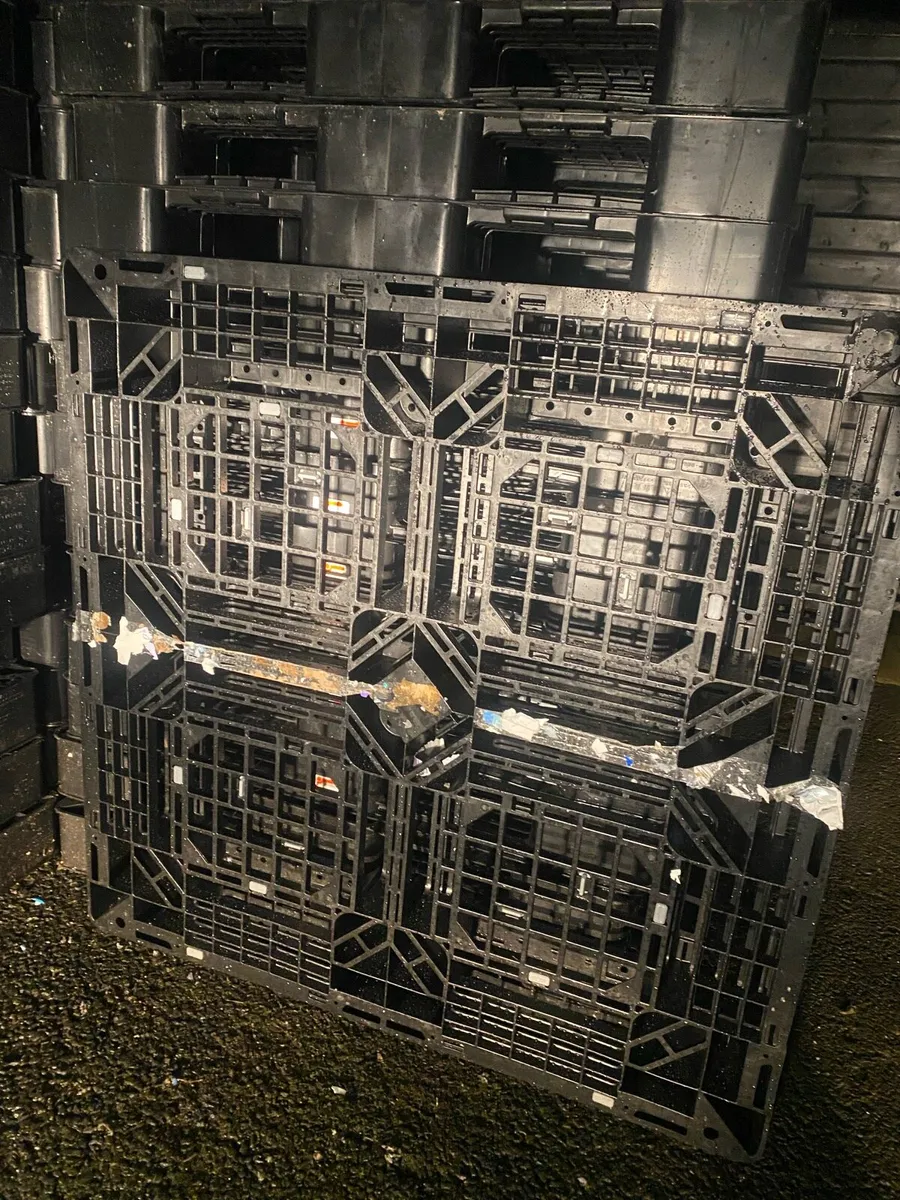 Plastic pallets only €5 December only - Image 2
