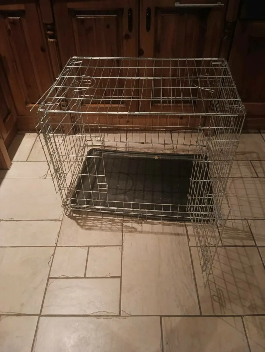 New dog cage 30 collect asap - Image 2